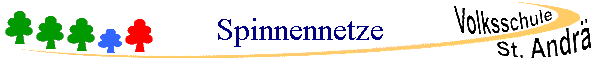Spinnennetze